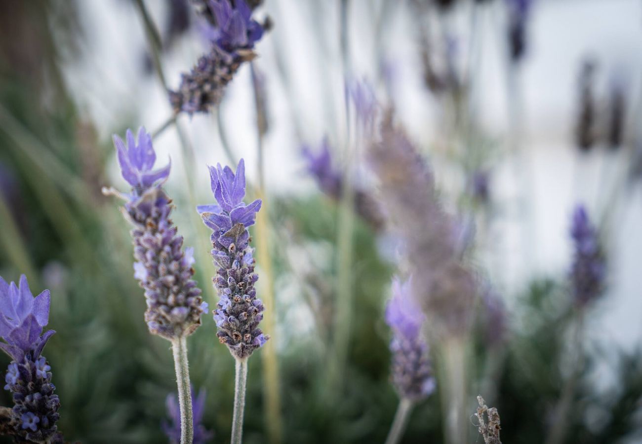 Maison à Carry-le-Rouet - Les pierres tombees