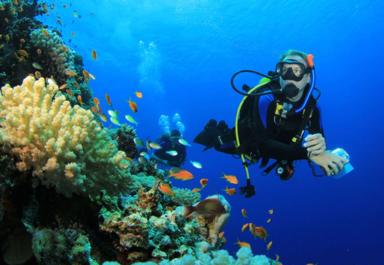 Maison à Ensuès-la-Redonne - La madrague