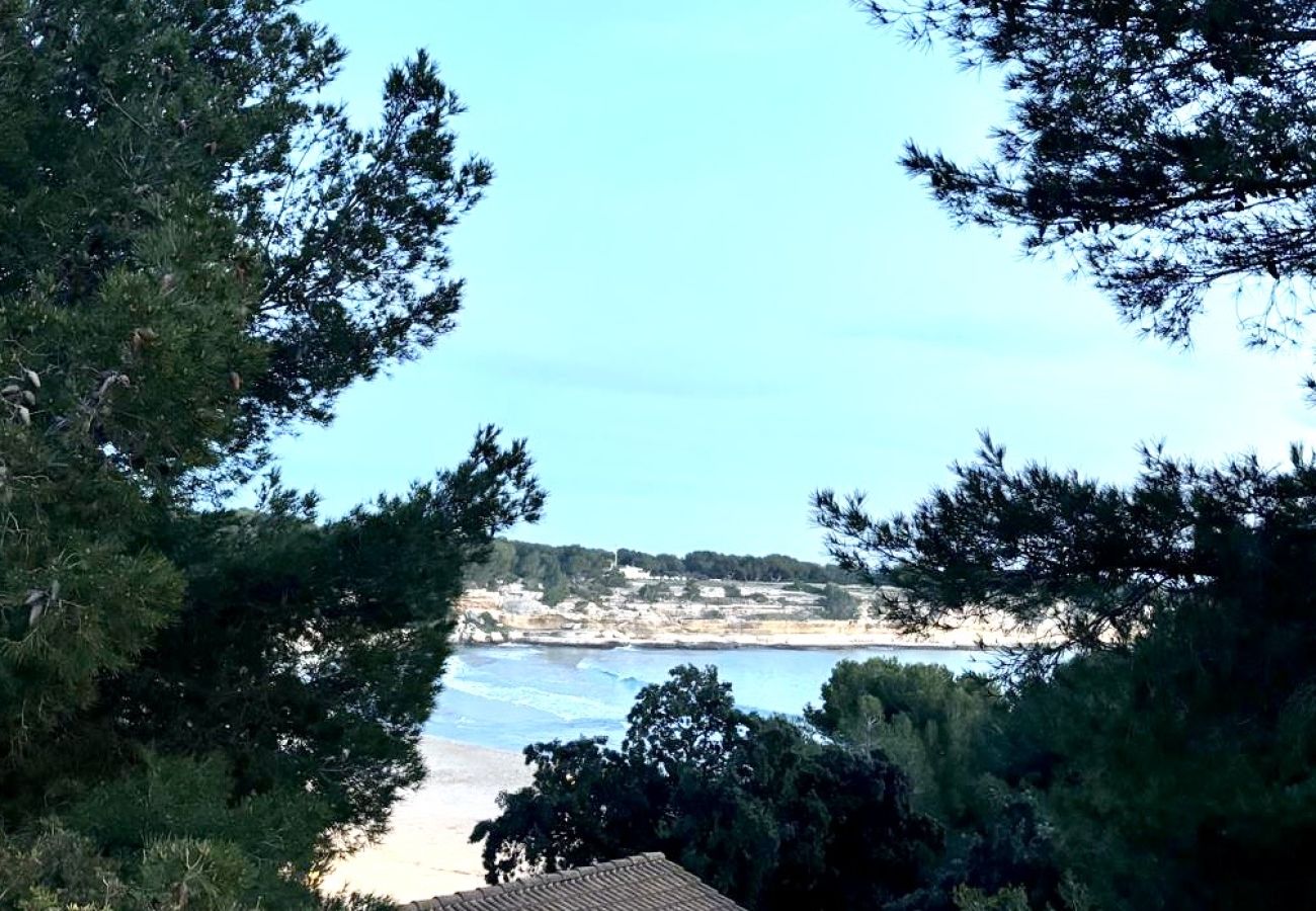Appartement à Martigues - Palatino N°1