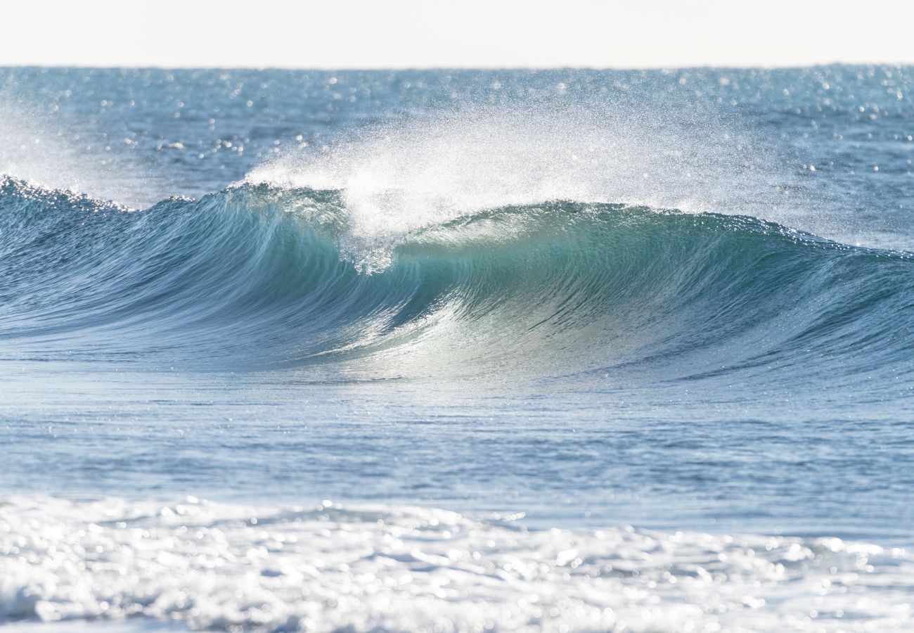 Appartement à Martigues - Palatino N°1