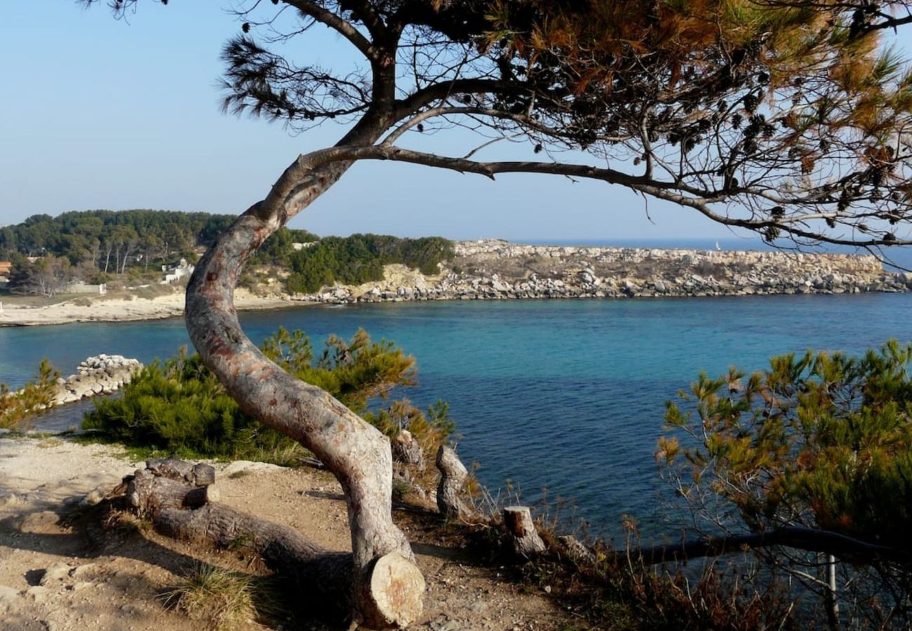 Appartement à Martigues - Palatino 2